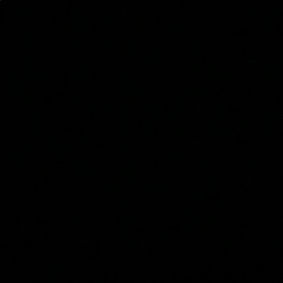 Meet your Posher, Sam! - Picture 1 of 1